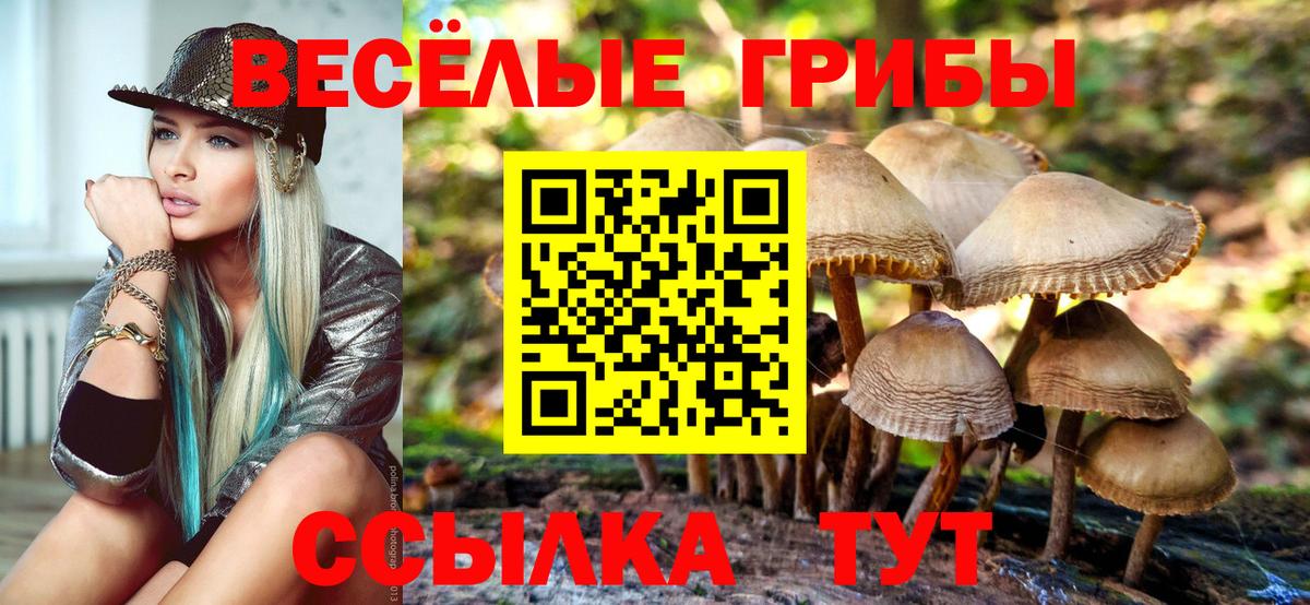 Псилоцибиновые грибы прущие грибы  Вход с VPN  Алатырь 